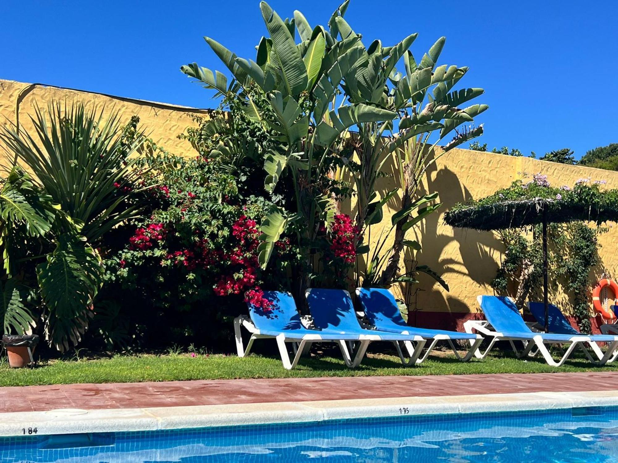 Hotel Pinomar إل بويرتو دي سانتا ماريا المظهر الخارجي الصورة